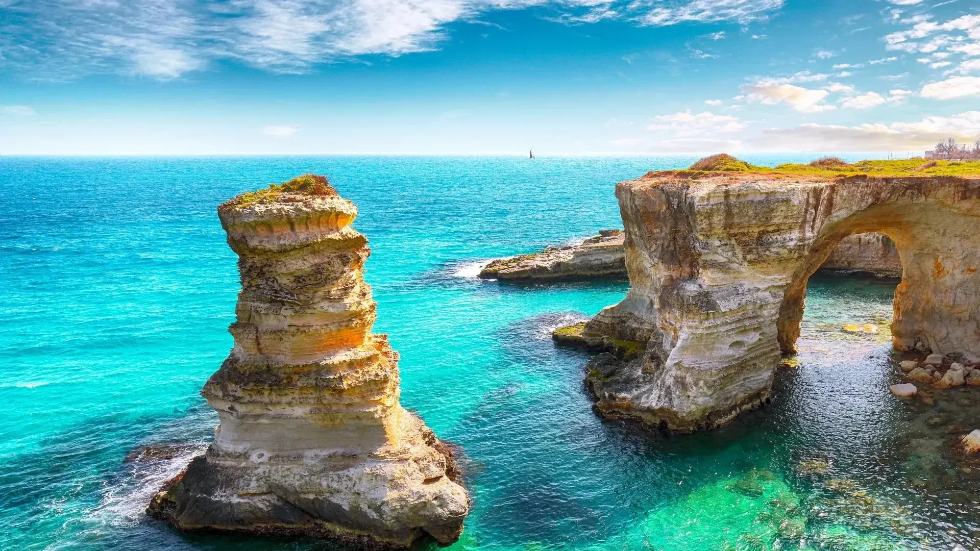 Design sans titre (47)